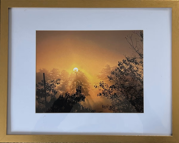 Foggy Sunrise