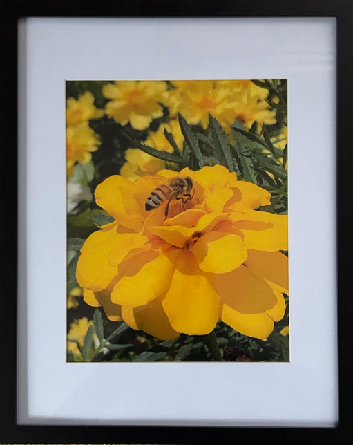 Working Honey Bee