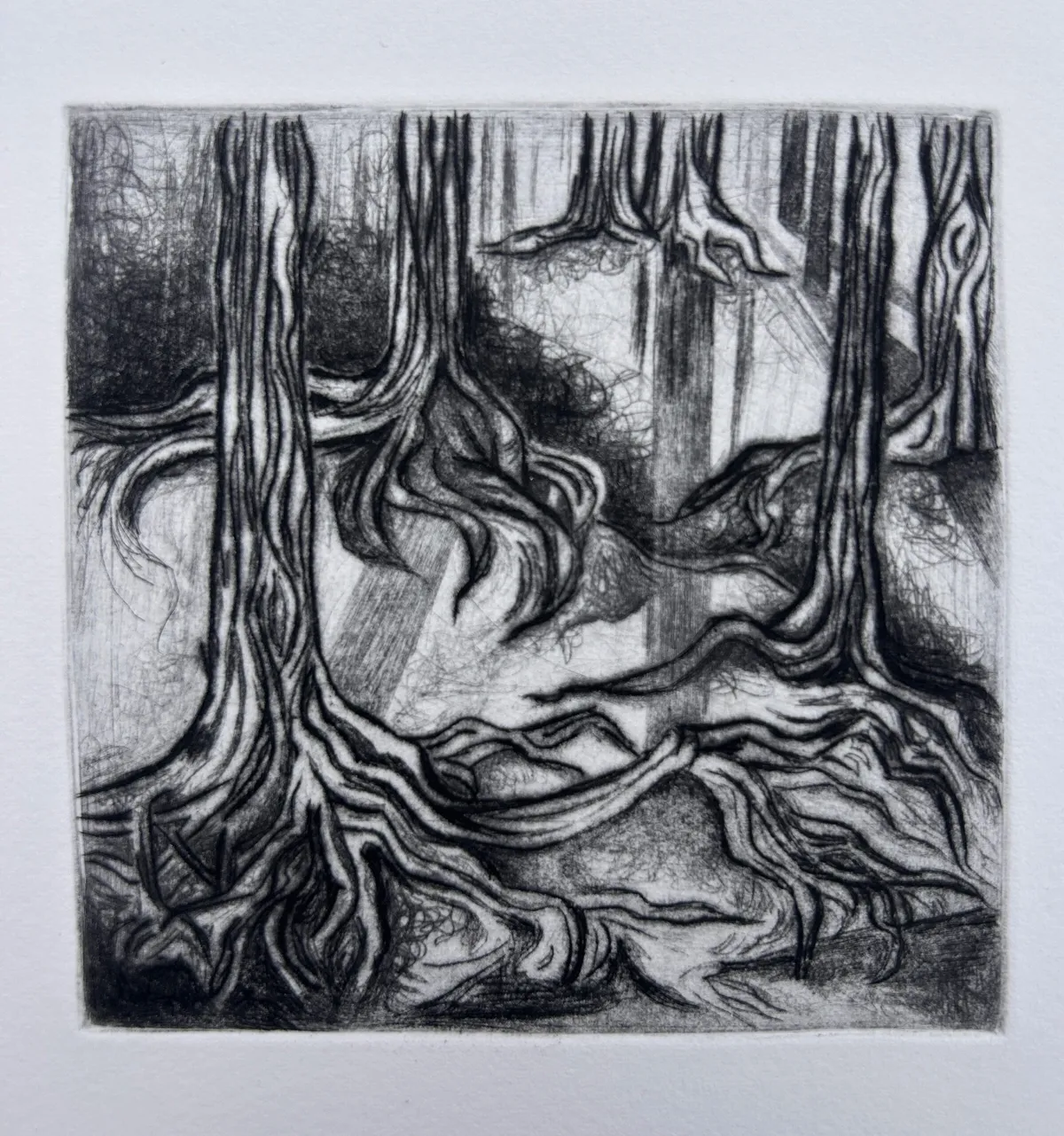 Roots