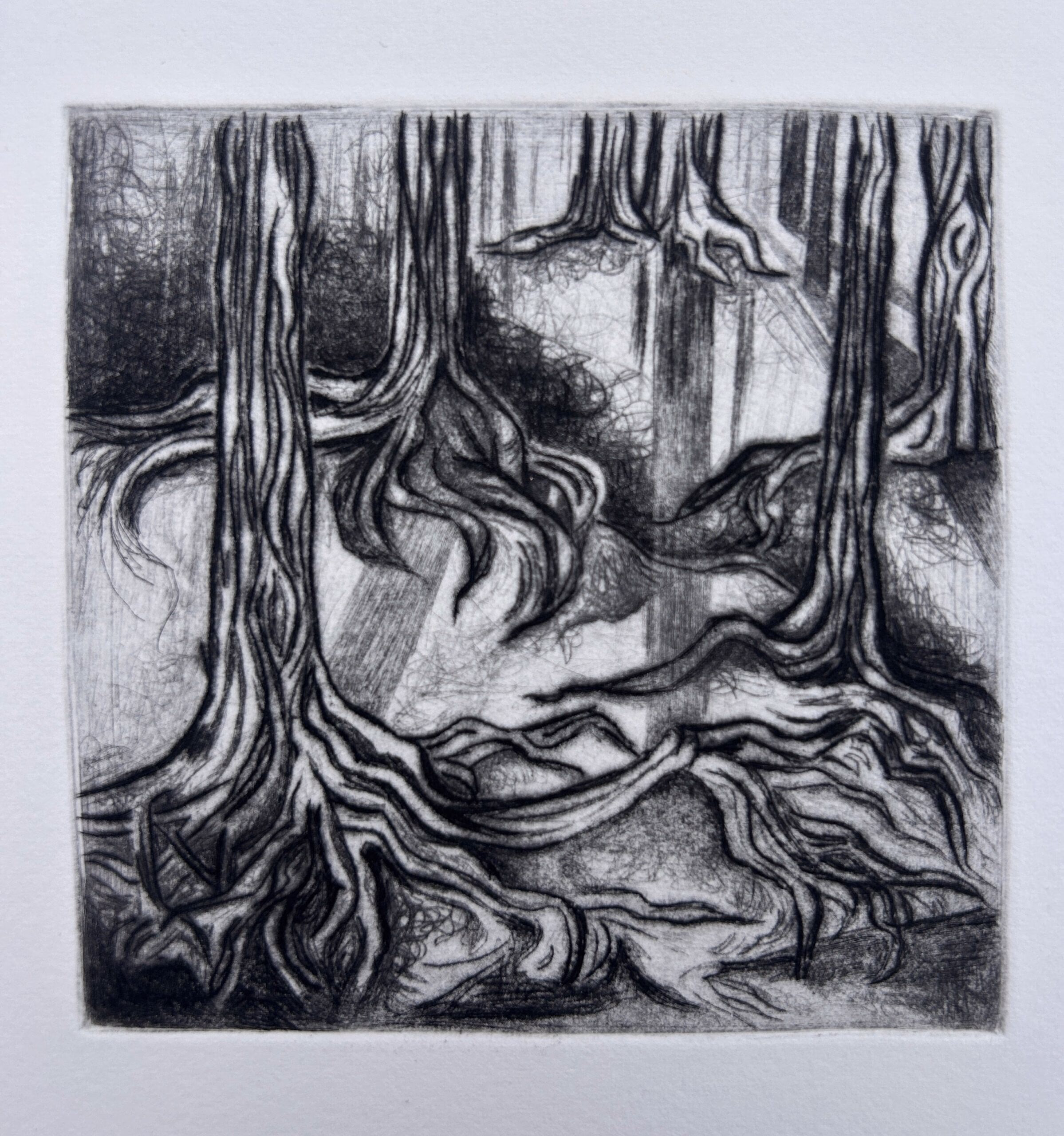 Roots
