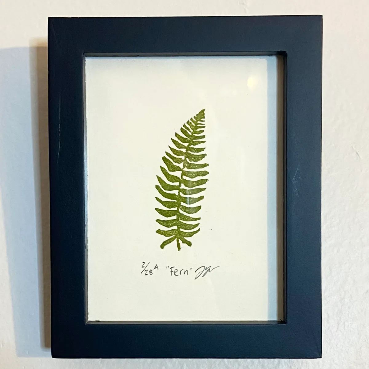 Fern