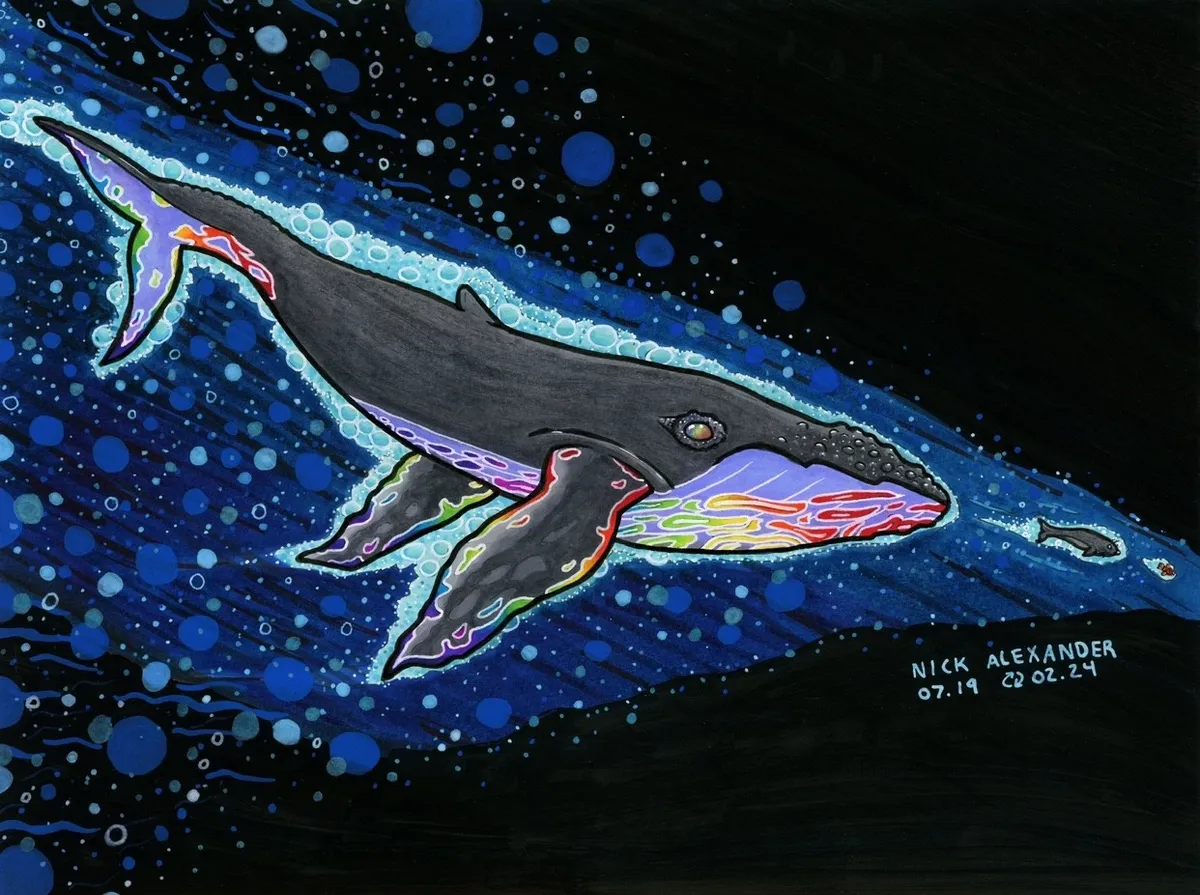 Illuminated Chase