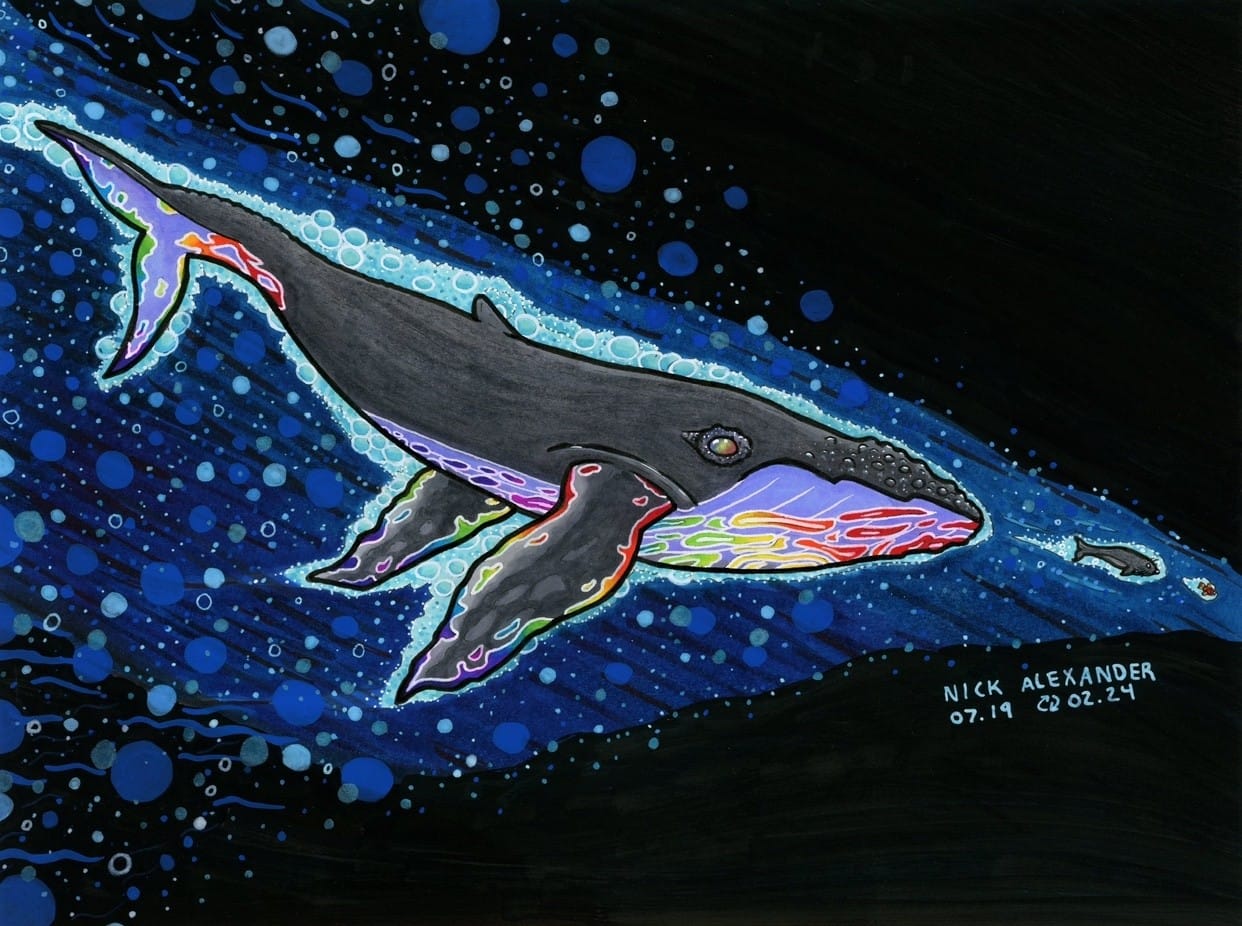 Illuminated Chase