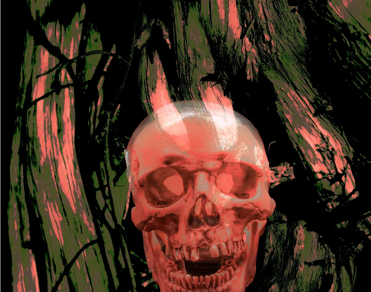 Flaming skull