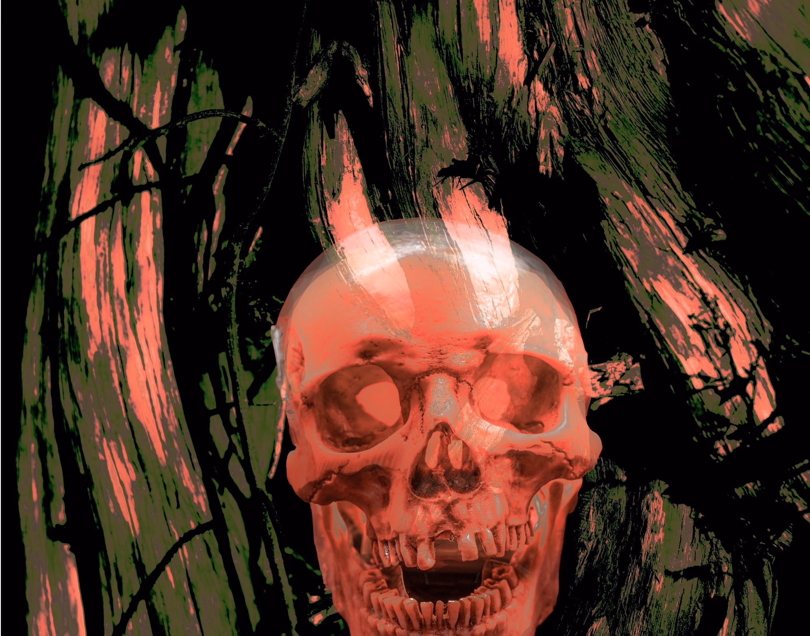 Flaming skull