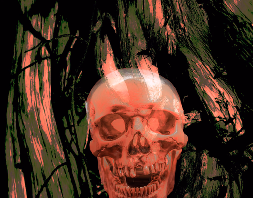 Flaming skull