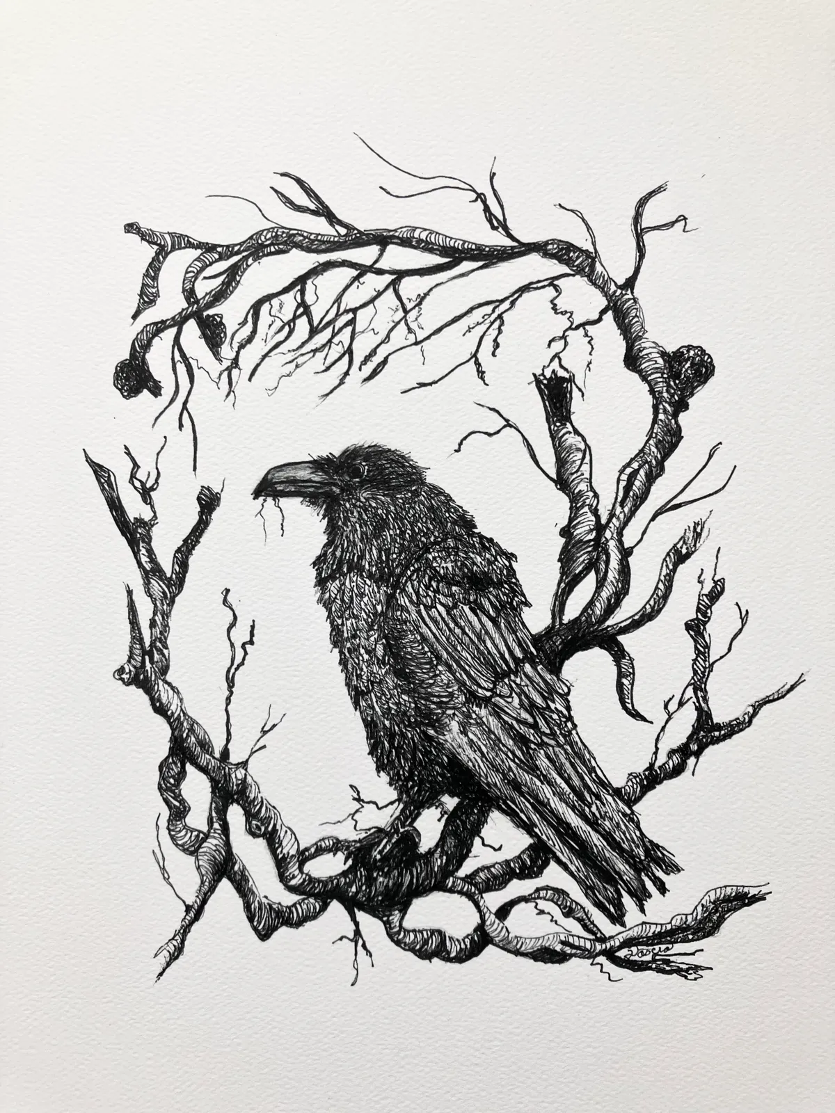 A Raven's Message