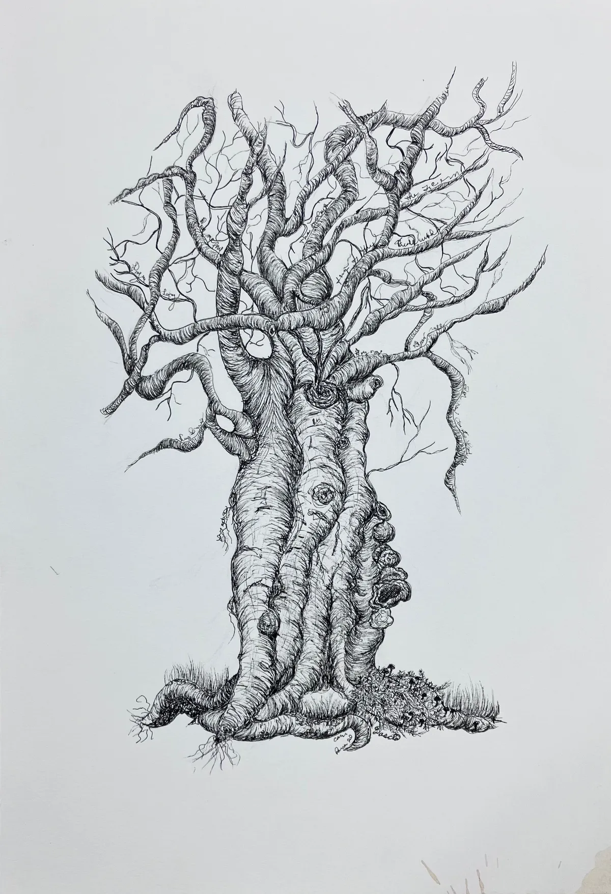 Indulating Limbs