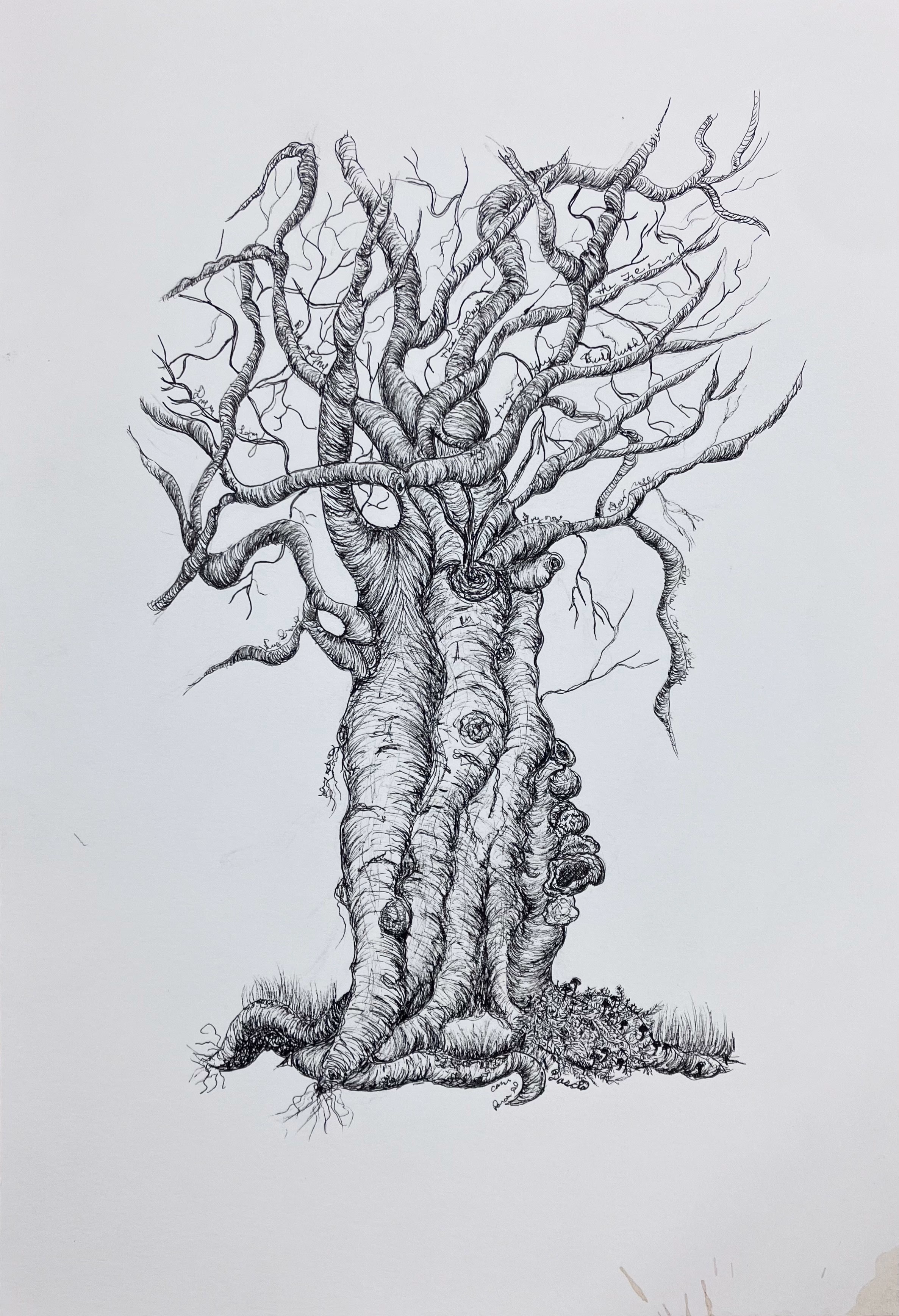 Indulating Limbs
