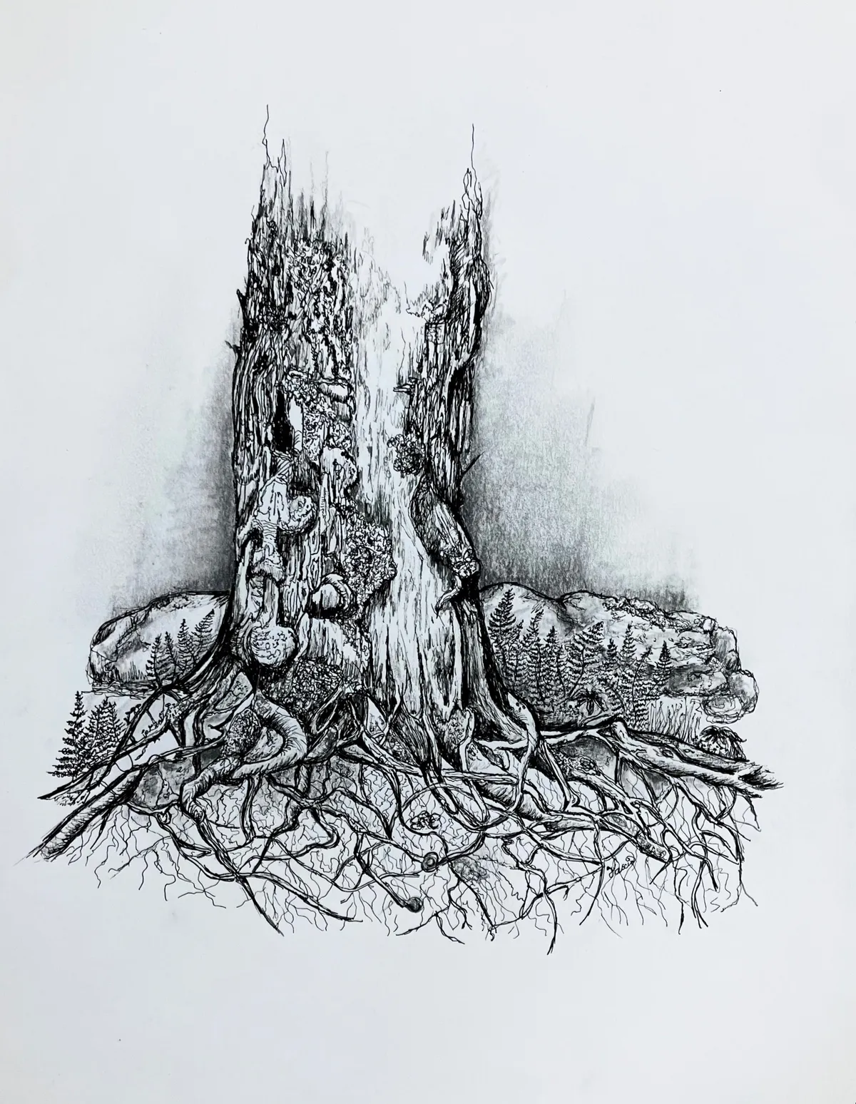 Intricacies