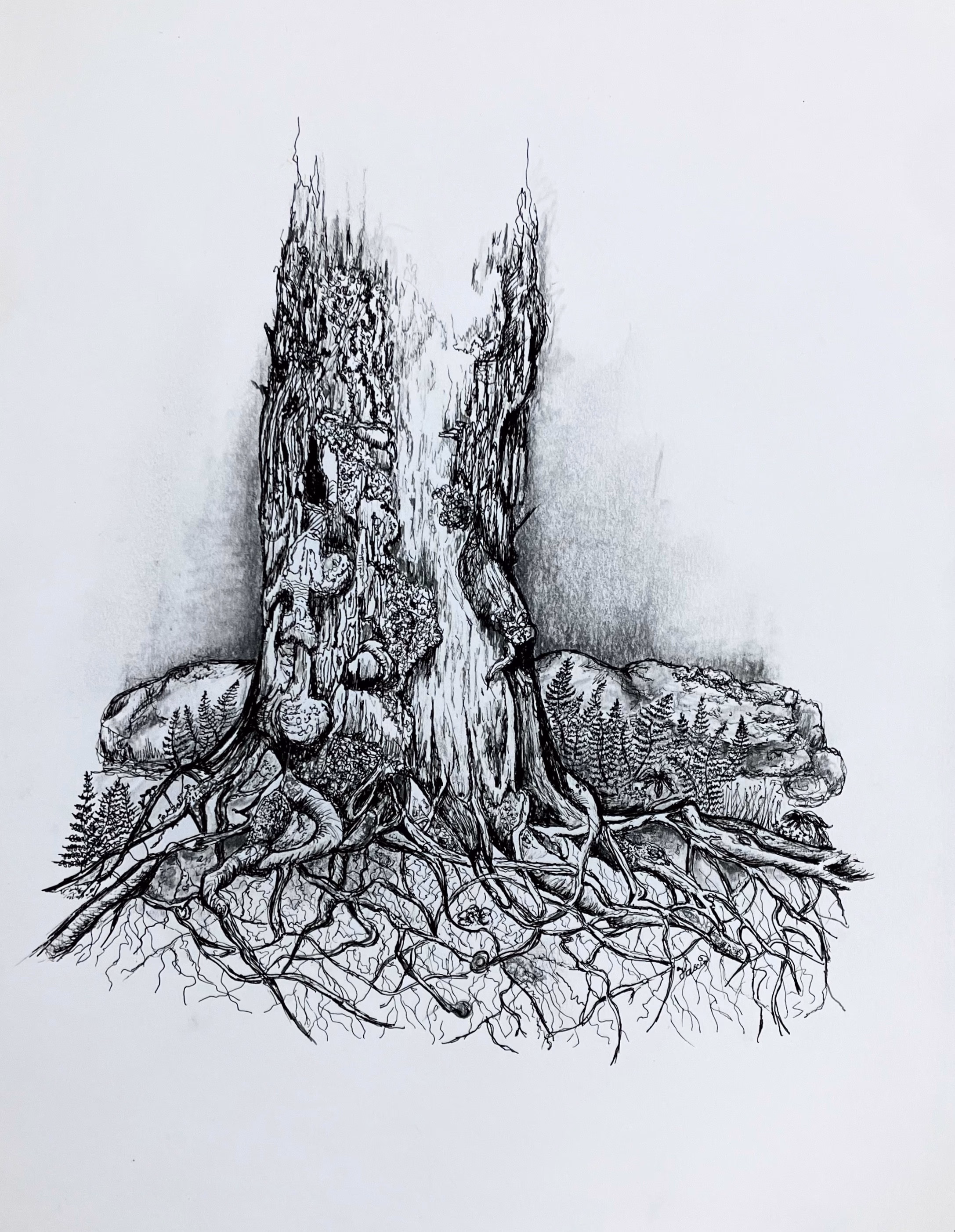 Intricacies
