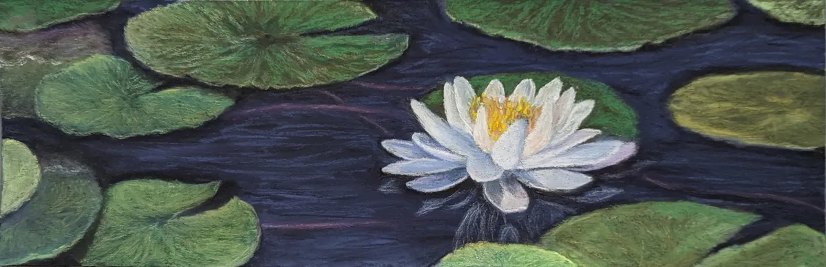 My Fair Lily