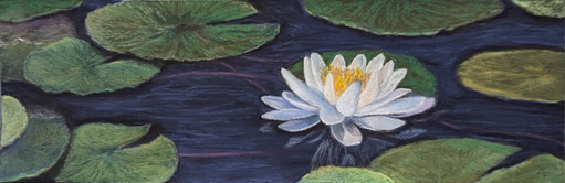 My Fair Lily