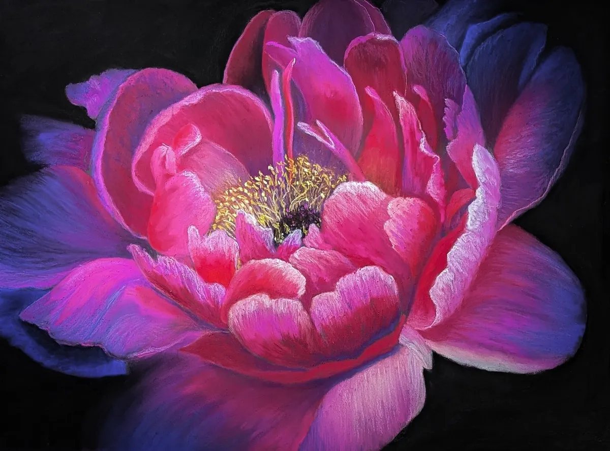 Peony For Your Thoughts