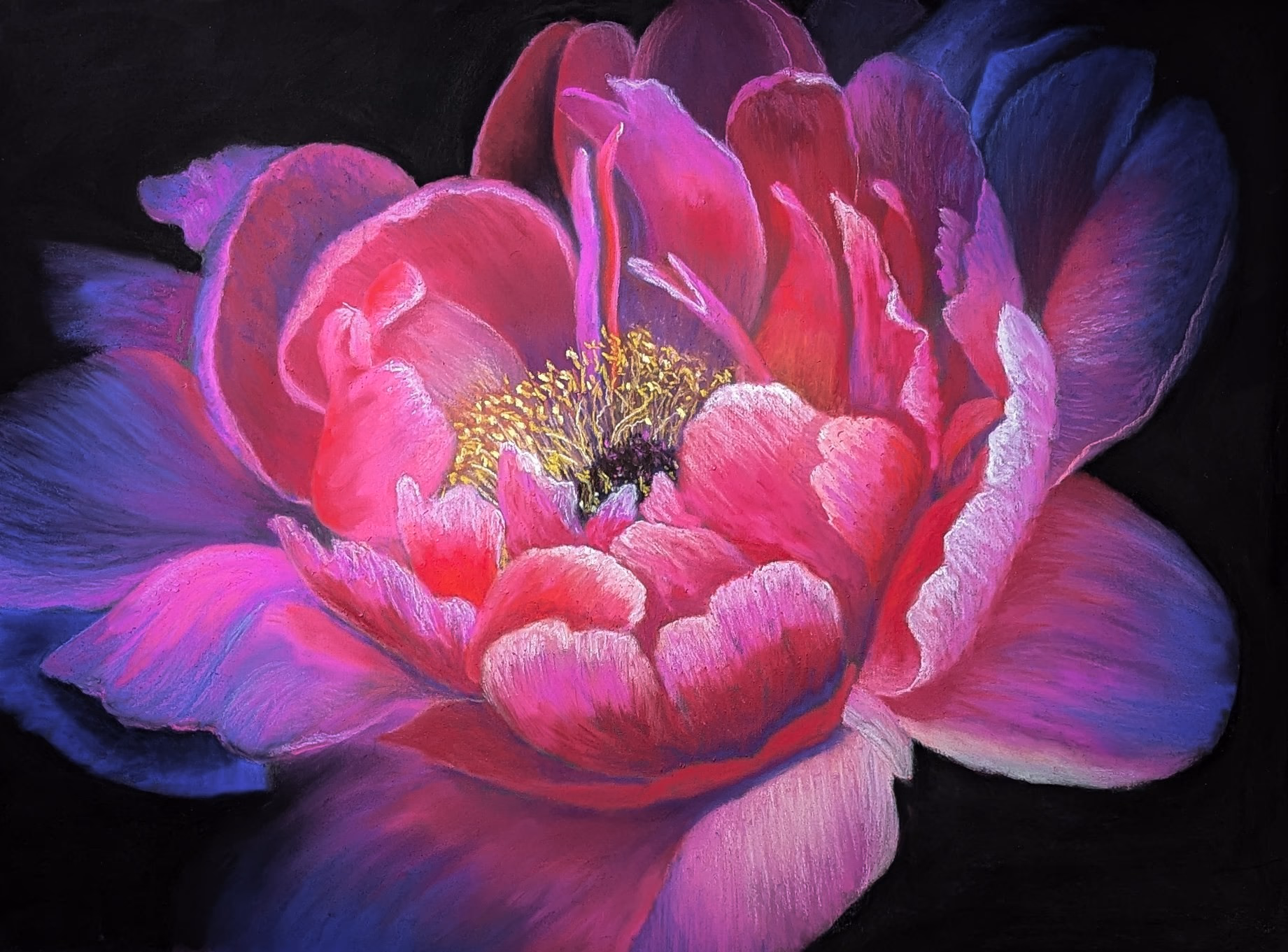 Peony For Your Thoughts