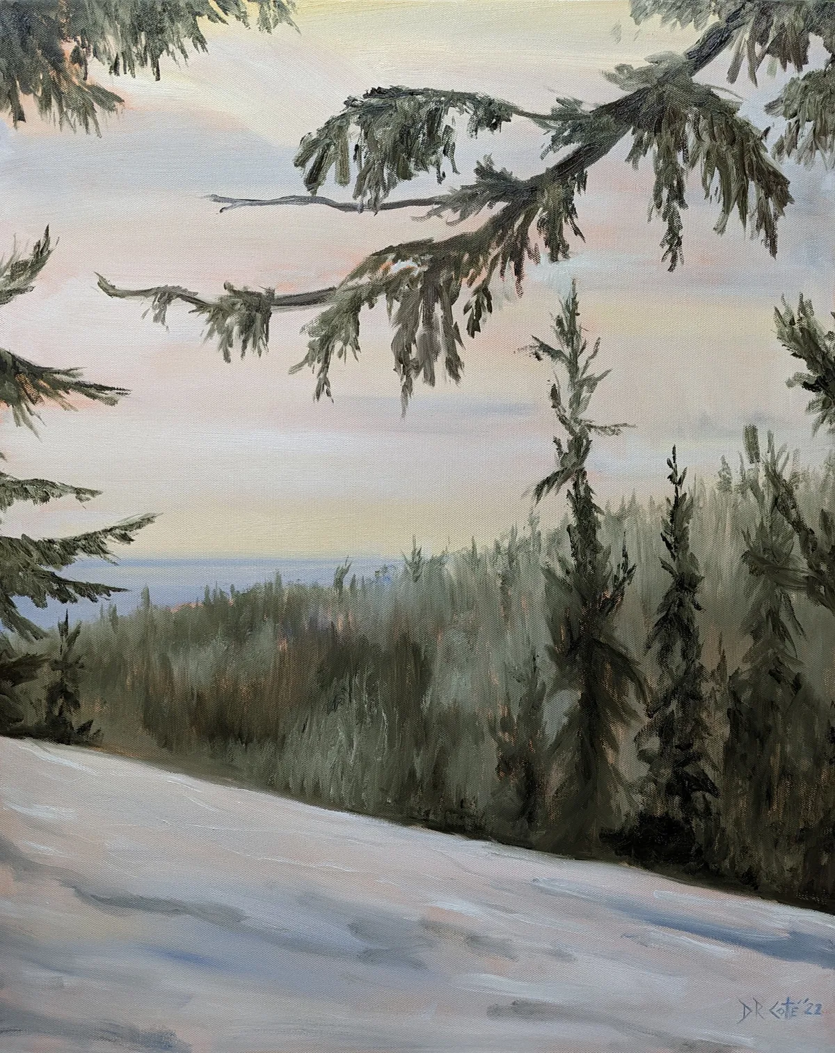 Mountain Hemlock