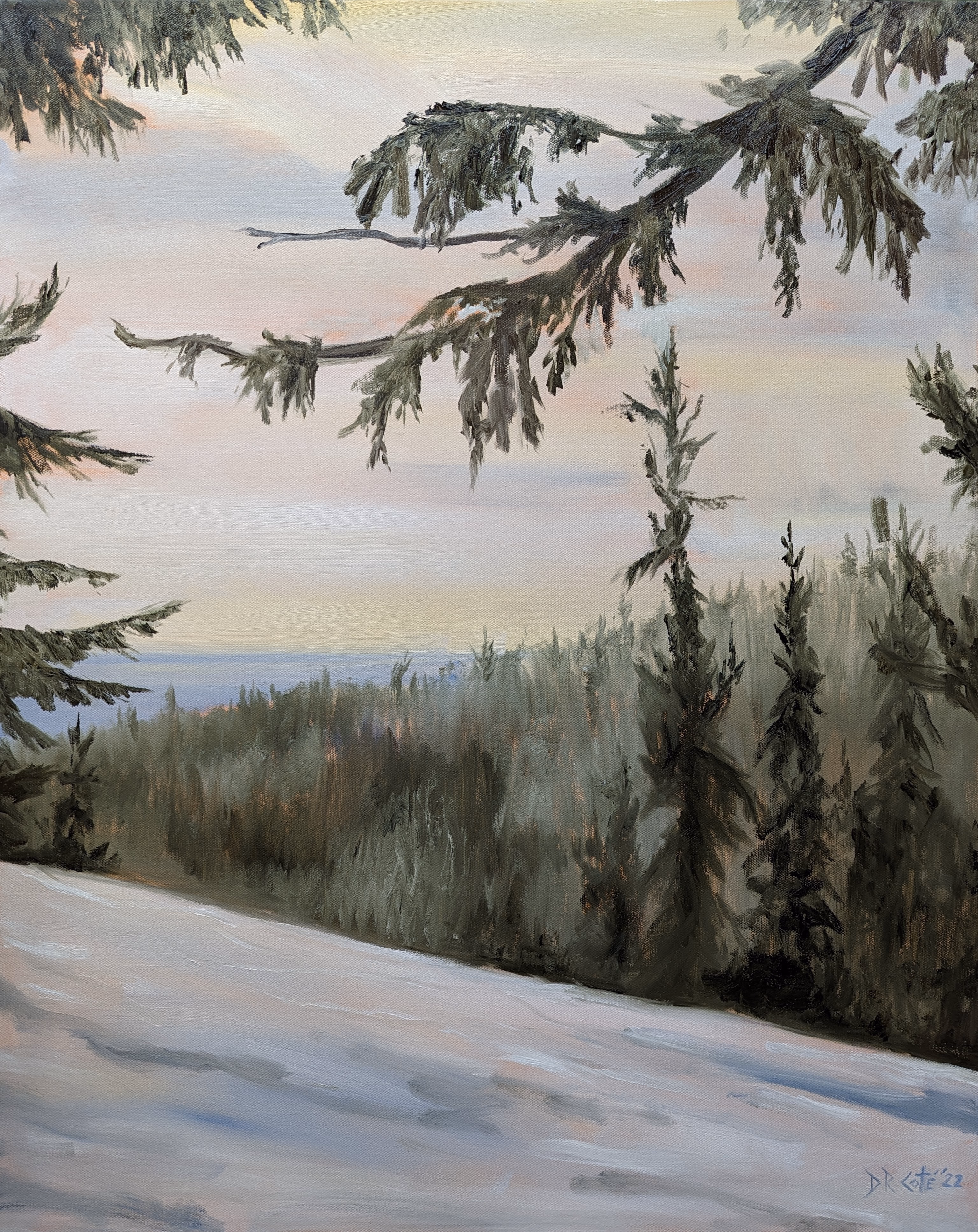 Mountain Hemlock