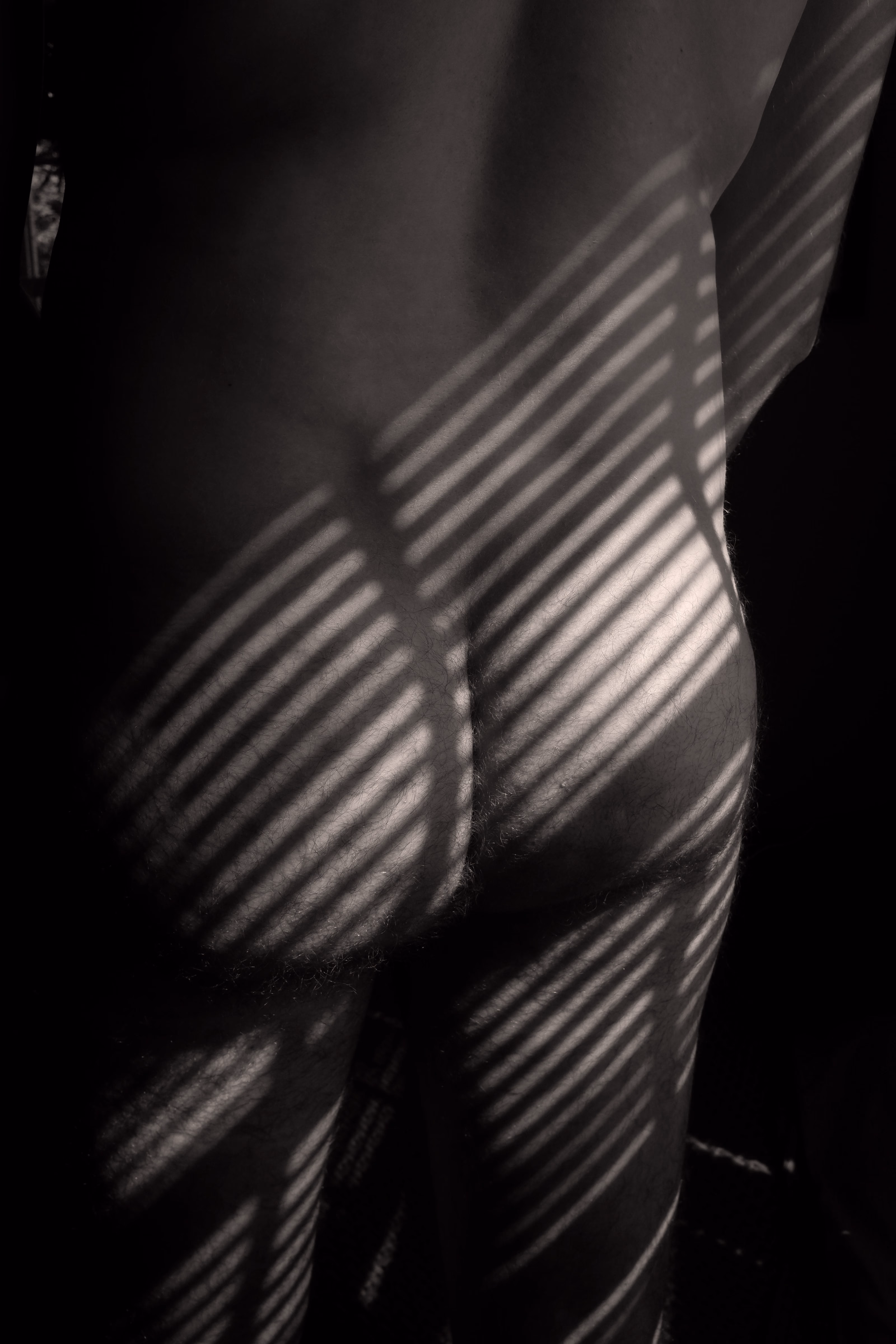 South Exposure