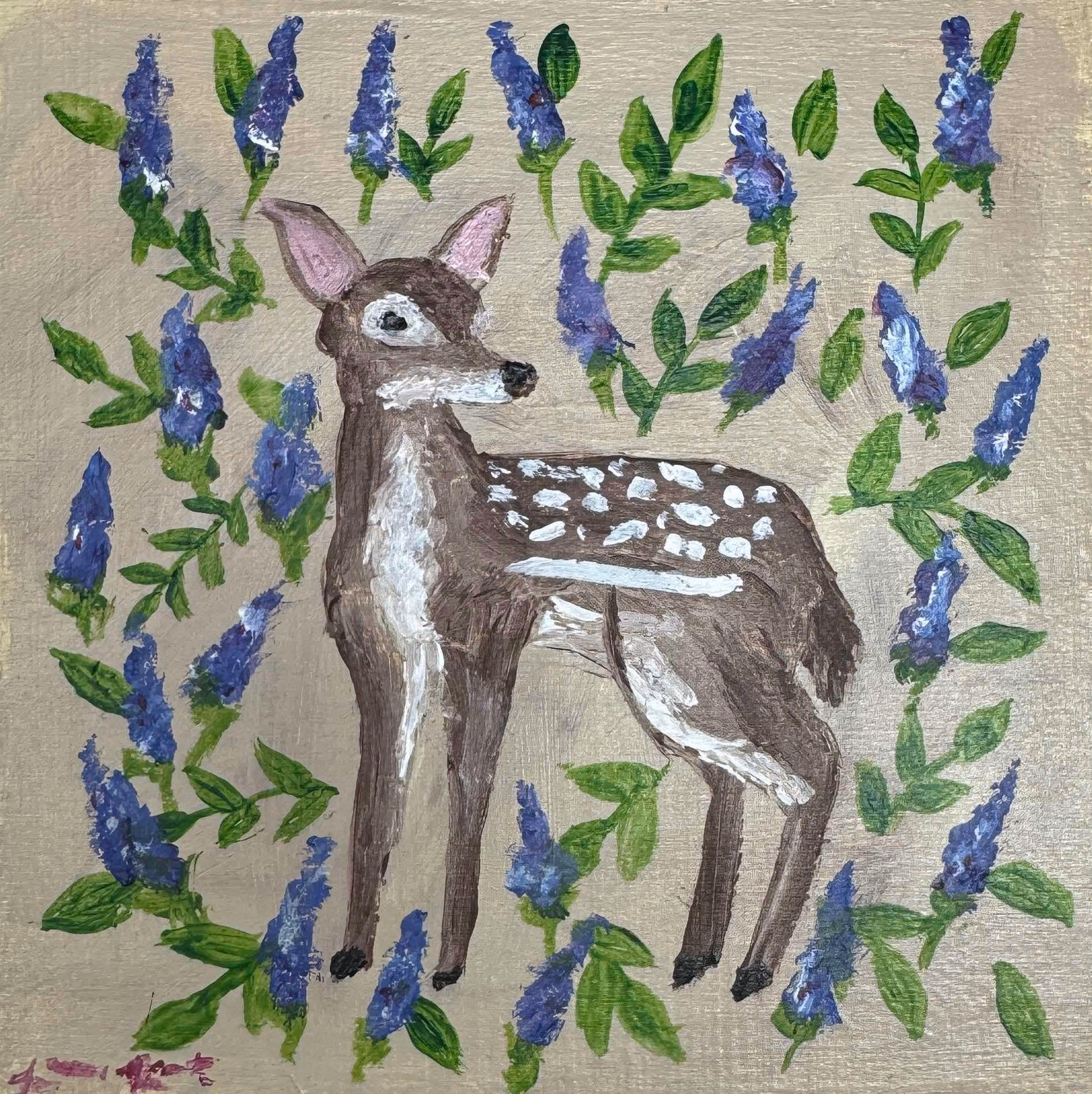 Fawn