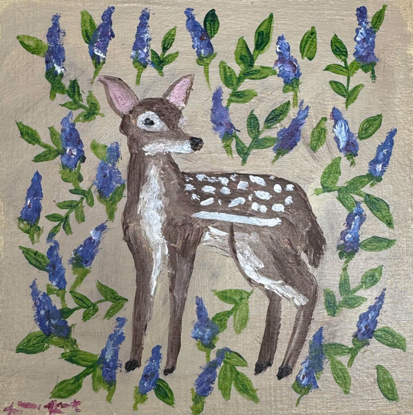 Fawn
