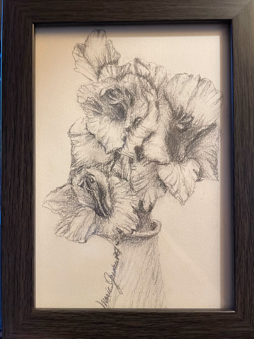Gladiolus