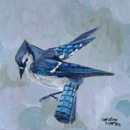 Snow Bath