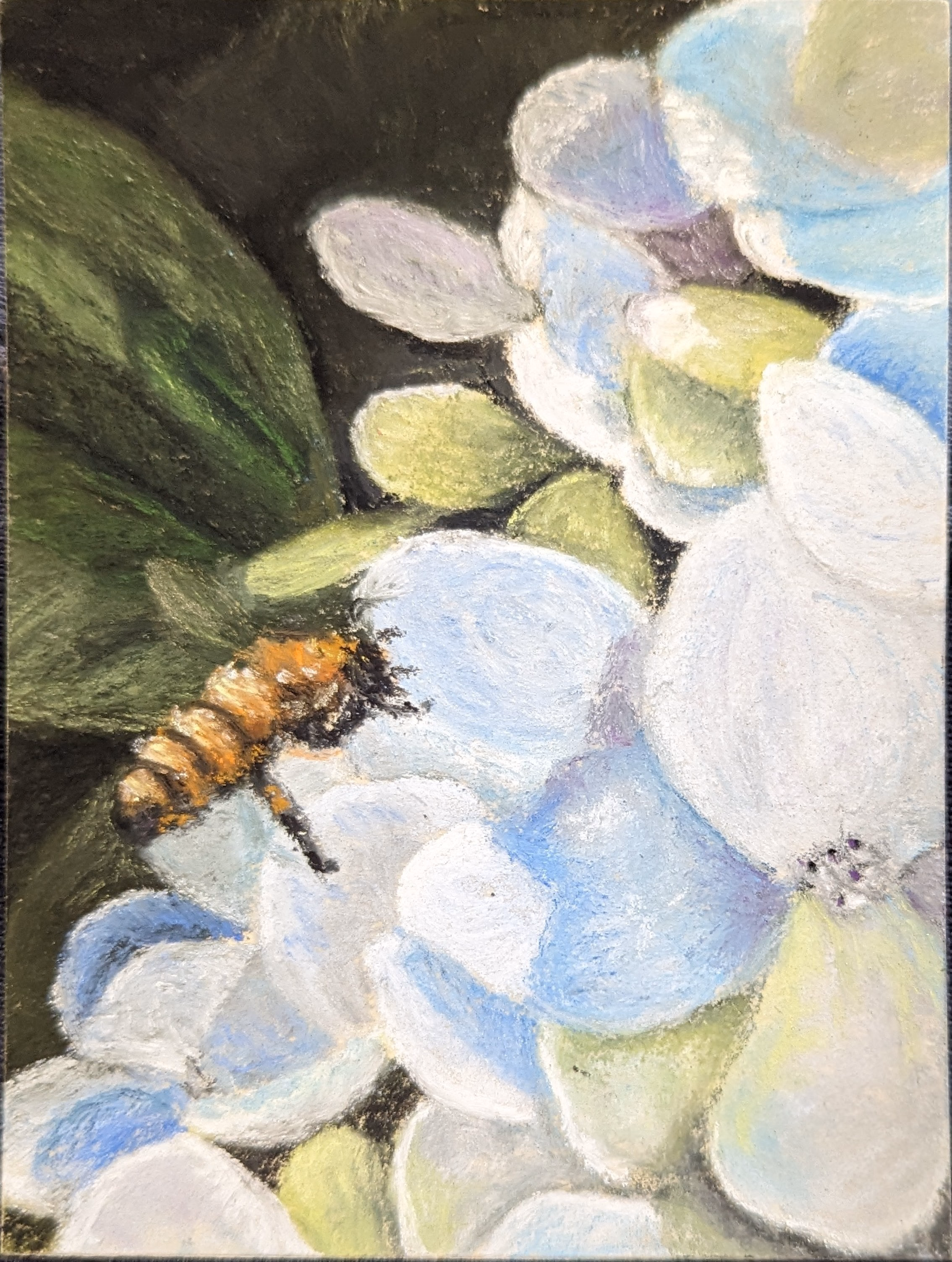 Bee Happy