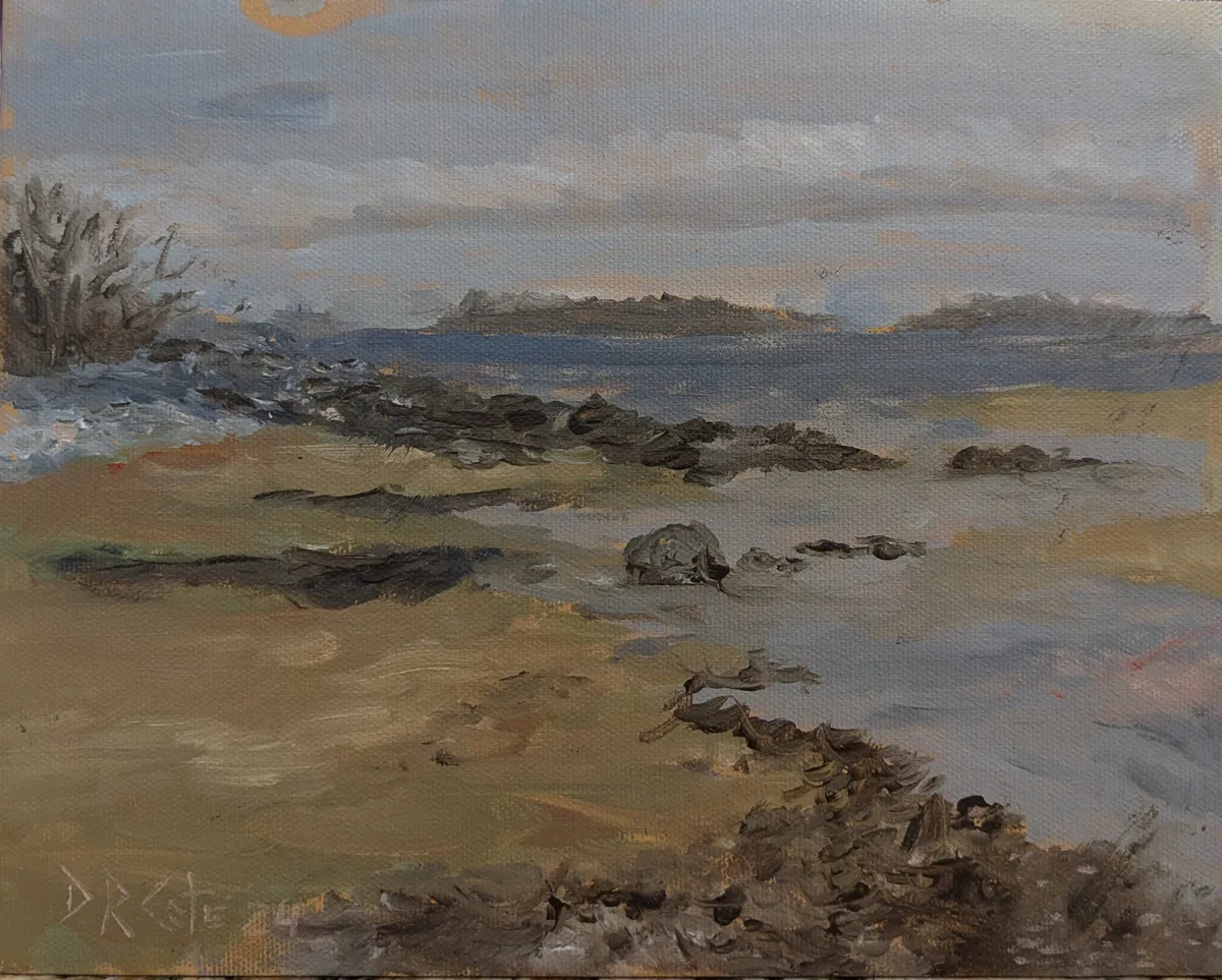 Timber Point