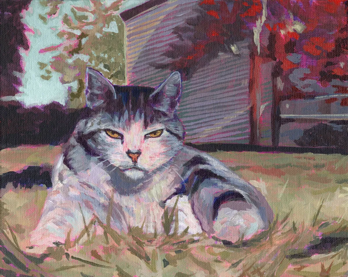 Pissy Puss