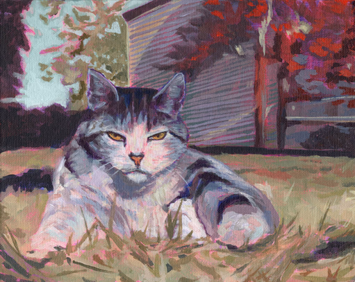 Pissy Puss
