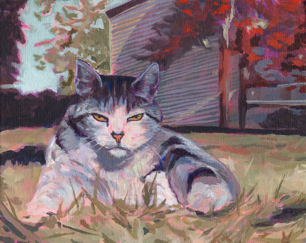 Pissy Puss