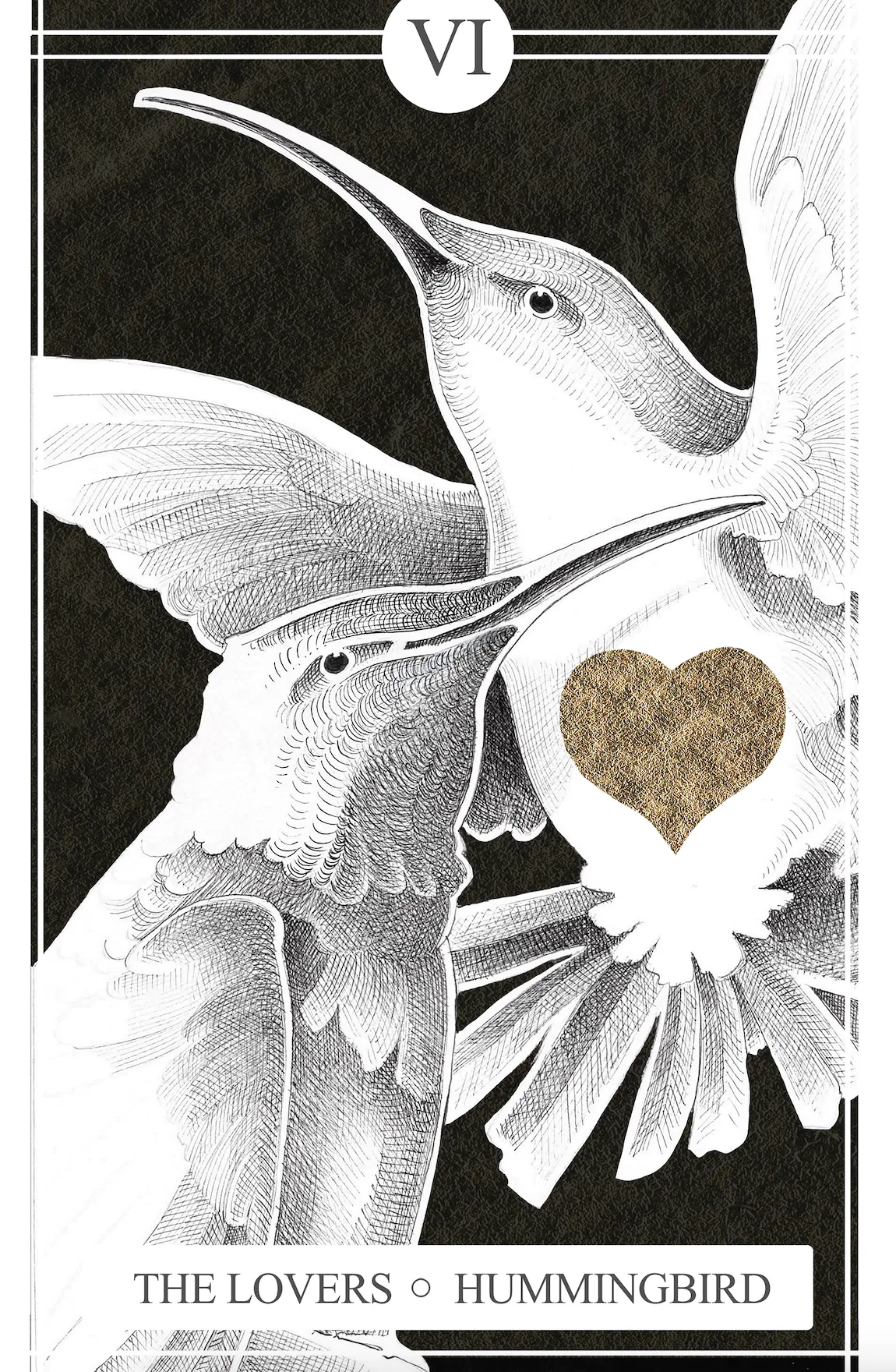 VI The Lovers | Humming Bird (Print)