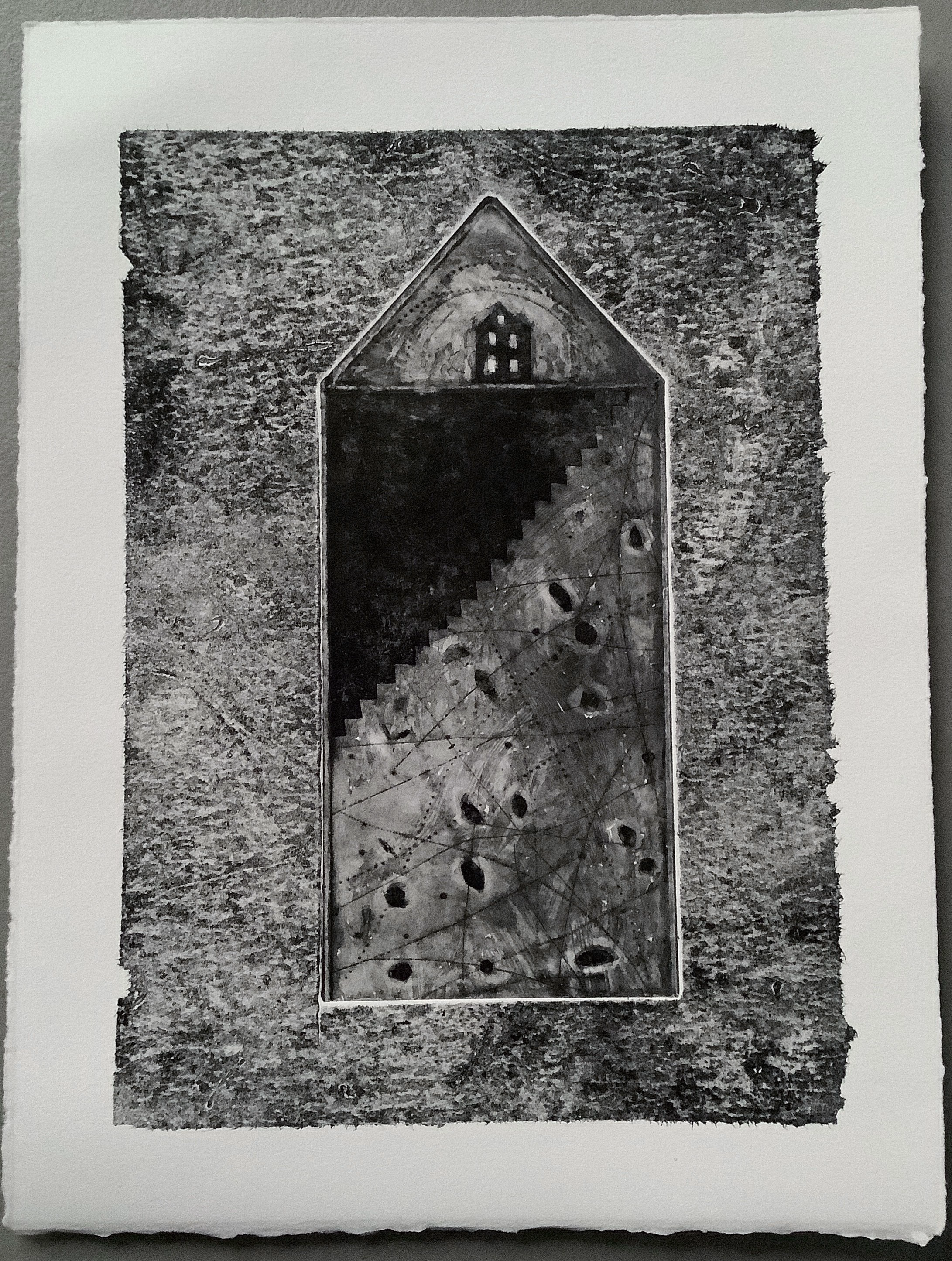 Shadow House