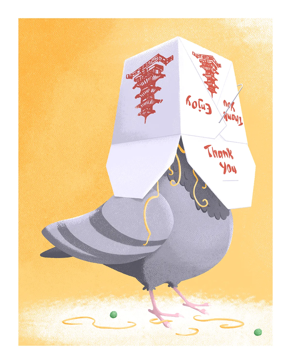 Pigeon Food