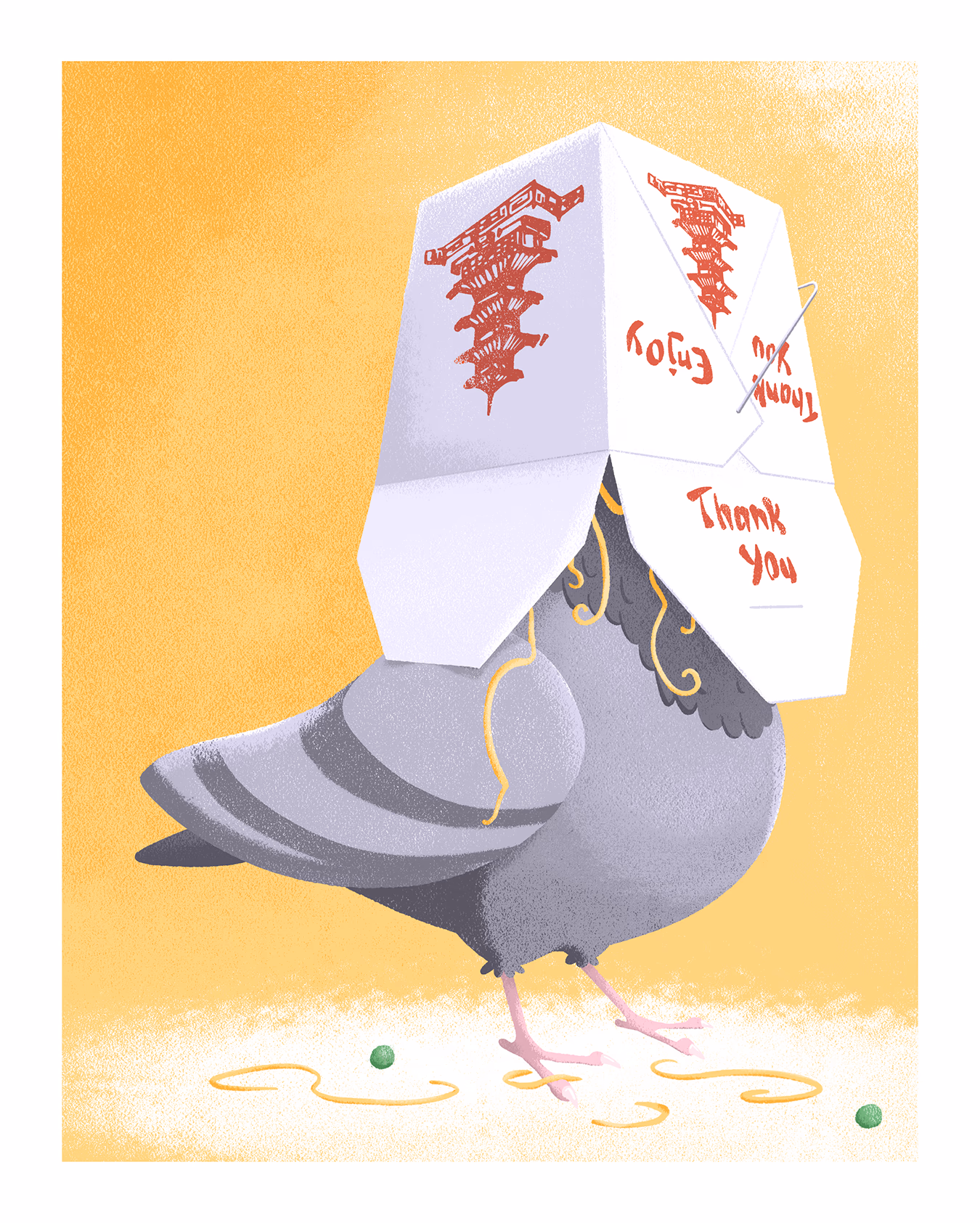 Pigeon Food